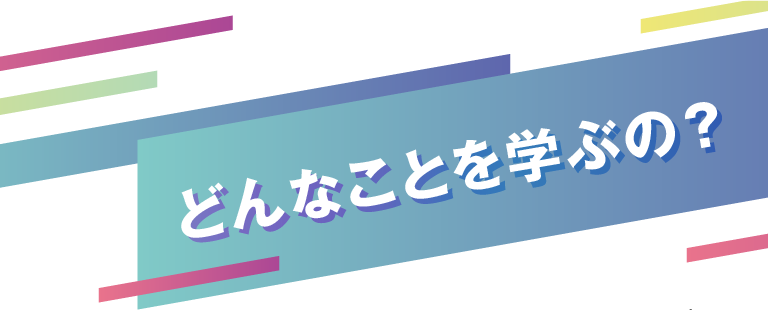 どんなことを学ぶの？