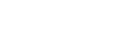 Voice