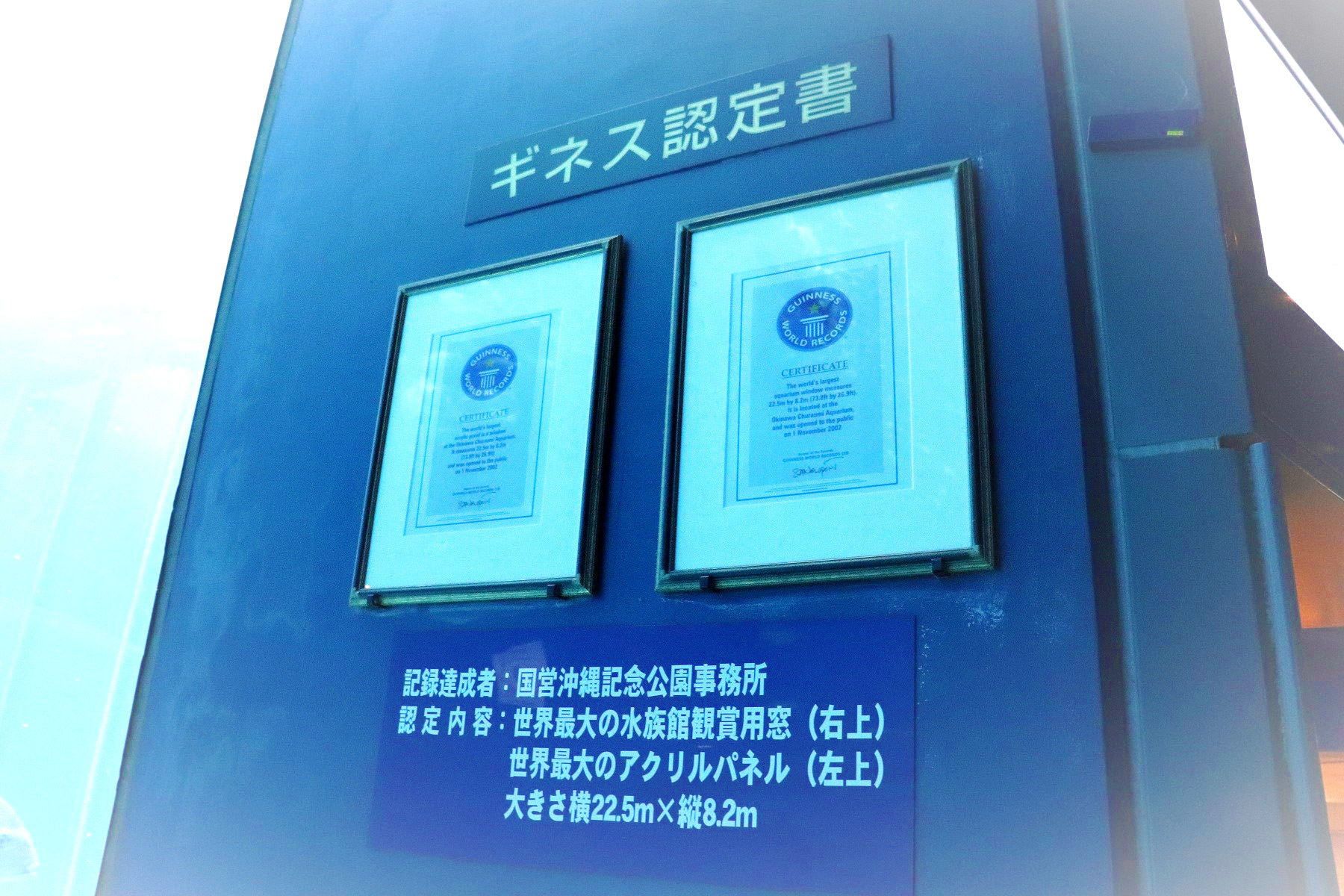 名古屋校通信vol 6公開 学院生活後期突入 切磋琢磨してモノ作りに励む学生たちの様子をどうか見守ってください アニメ 声優 マンガ イラストの専門校 代々木アニメーション学院